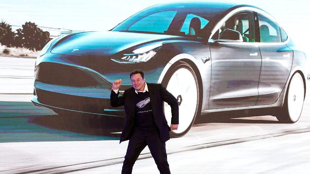 Tesla stock has plunged by half from its November high.