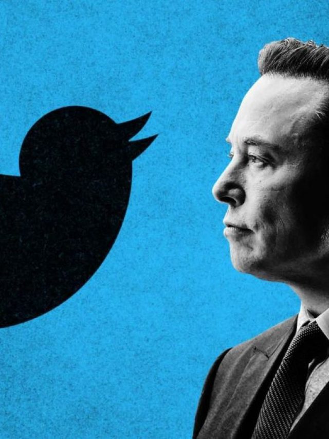 6 Elon Musk’s Companies including Twitter & What they do?