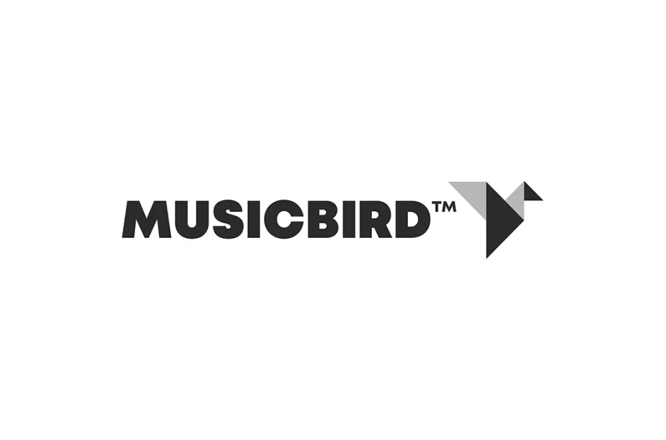 MusicBird Aquires a $100 Million Term Loan Facility to Expand Its Music Rights Acquisitions