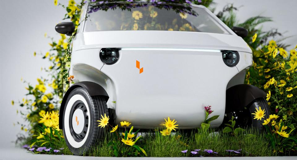Luvly Swedish Entrepreneur Wants Ikea-Like $11,000 Flat-Pack EVs